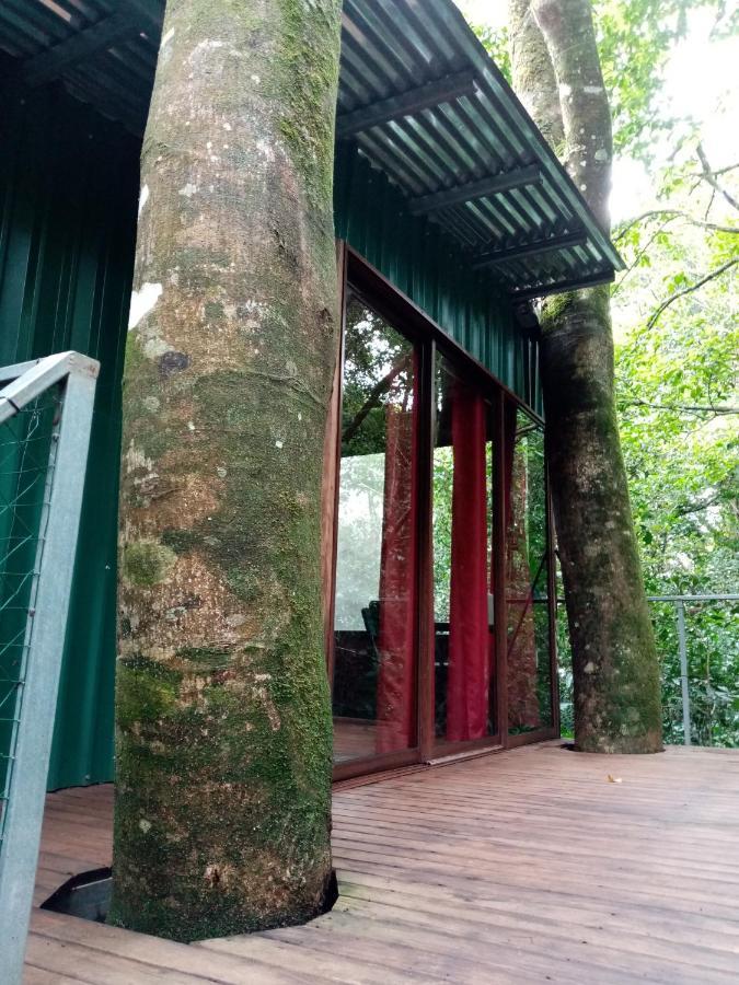 The Green Tree Lodge Монте-Верде Экстерьер фото